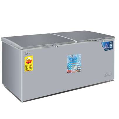 CONGELATEUR ROCH RCF-700-G 700L 2 PORTE